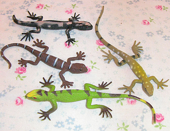 Lizards - 4 different