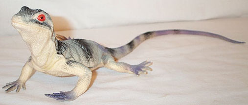 Agamid - Grey/Black