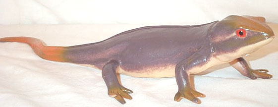 Skink (hollow)