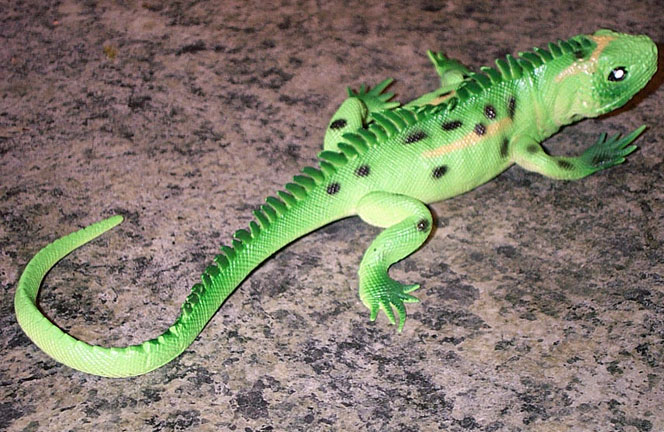 Iguanid - Green Variety