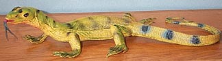 Desert Monitor - Young Green - AAA