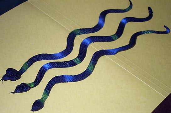 Toy Snakes - Flat