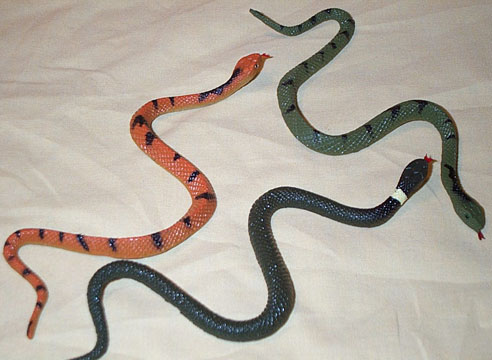 Cornsnake/Ringneck/Pine Snake