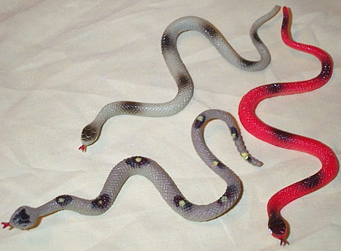 Ratsnake, Rattlesnake, Coachwhip