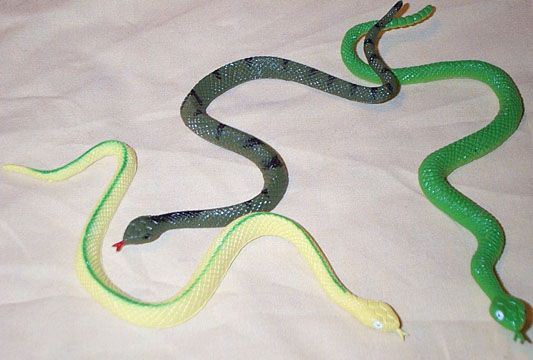 Ribbonsnake/Pinesnake/Green Rattler