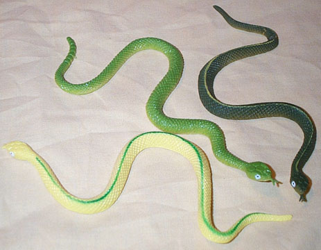 Ribbon Snakes & Green Rattler