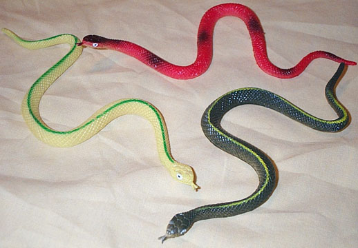 Ribbonsnakes and Coachwhip