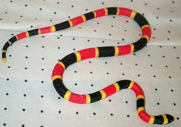 Coral Snake - Medium