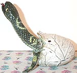 Python - Hatching - AAA