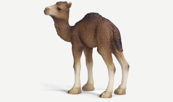 Dromedary Foal by Schleich