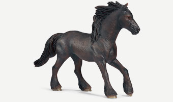 Friesian Mare