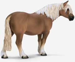 Haflinger Pony (Male)