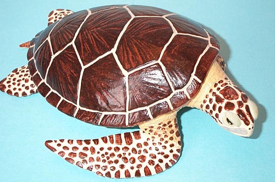 Sea Turtle