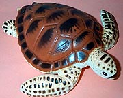 Green Sea Turtle