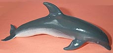 Bottlenose Dolphin