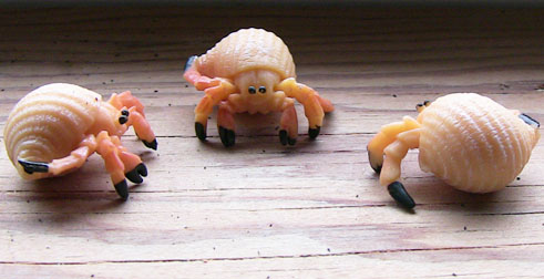Hermit Crab - Mini