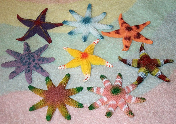 Starfish Minis