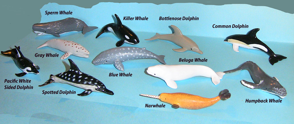 Dolphin and Whale Minis
