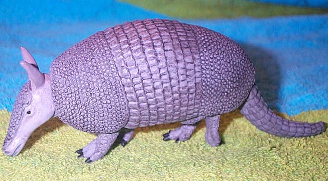 Armadillo