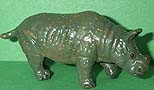 Rhino  Baby - AAA