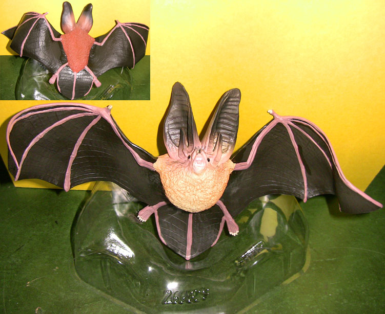 Big-Eared Bat