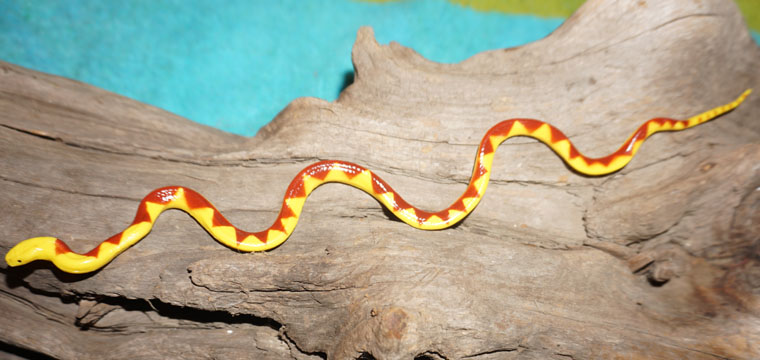 Baby Snake - Python?