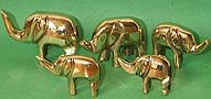 Elephants - set of 5