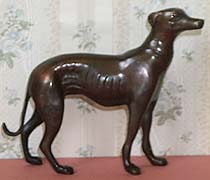 Greyhound - Standing