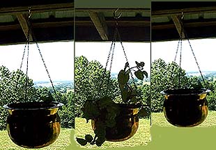 Hanging Planters - 3