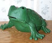 Frog