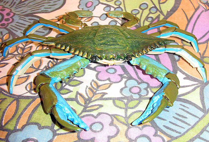 Blue Crab