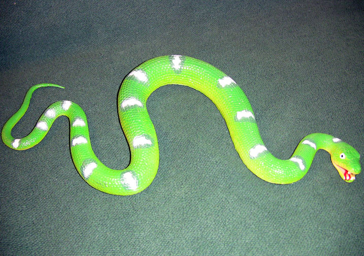 Emerald Boa