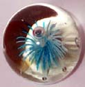 Glass Paperweight - Small Blue Flower