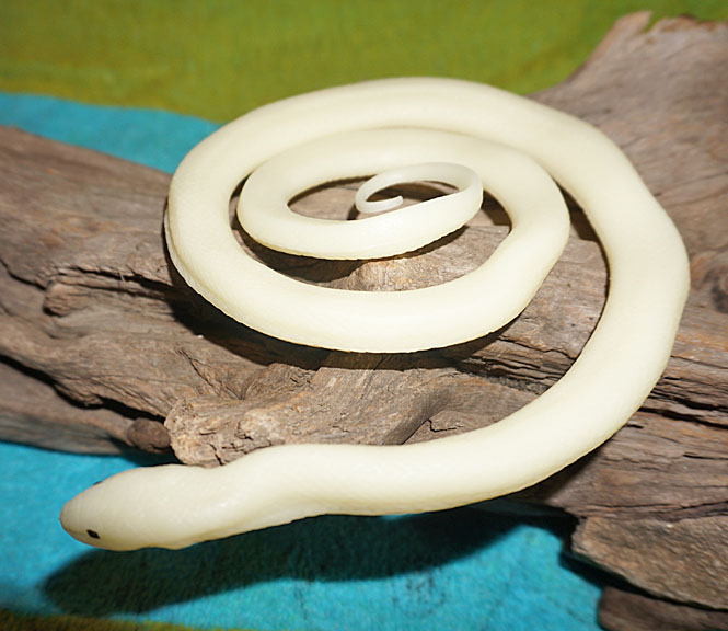 Glow-in-the-dark Snake