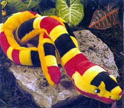 Coral Snake