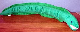 Moray Eel - Green