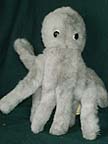 Octopus little