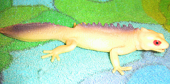 Fat Tailed Lizard - Hollow