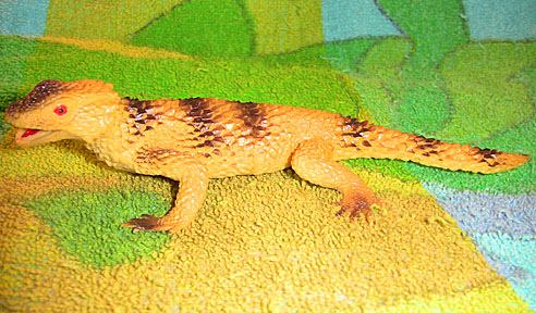 Spiny Lizard - Striped