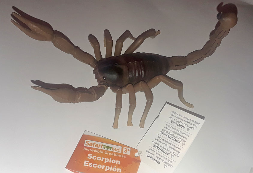 Scorpion - Large Brown