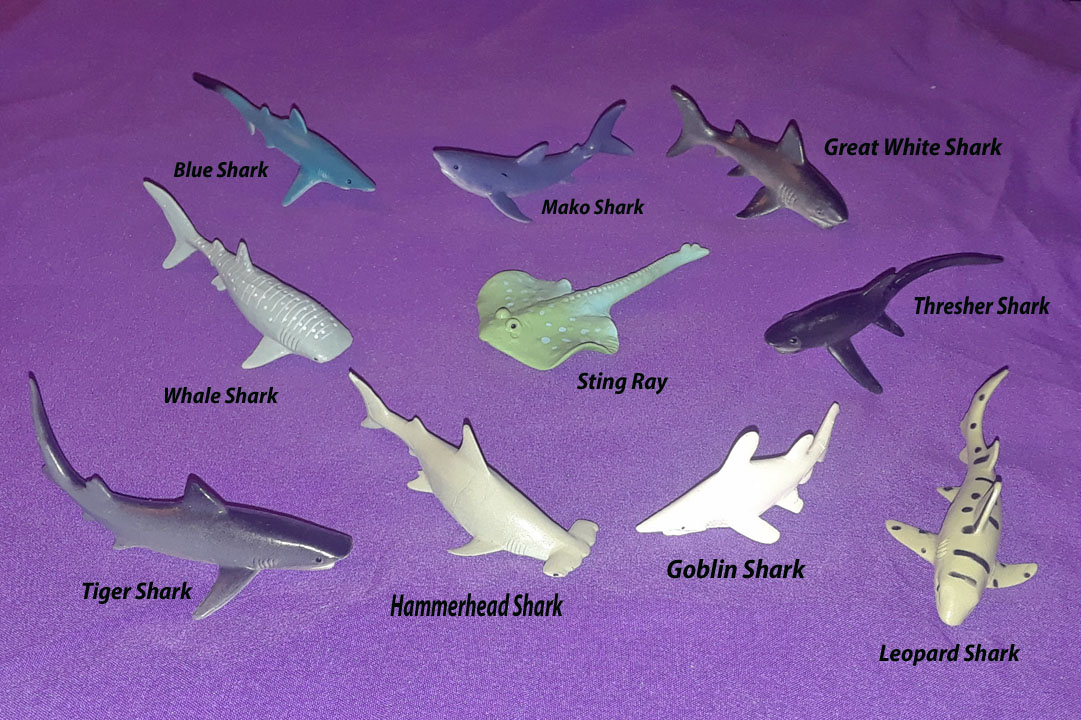 Shark Minis - 10