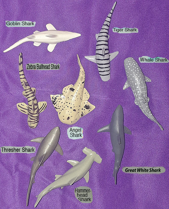 Shark Minis - 8