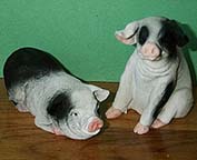Pig Pair