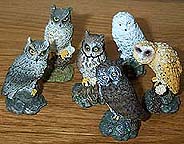 Owls - 6 Little