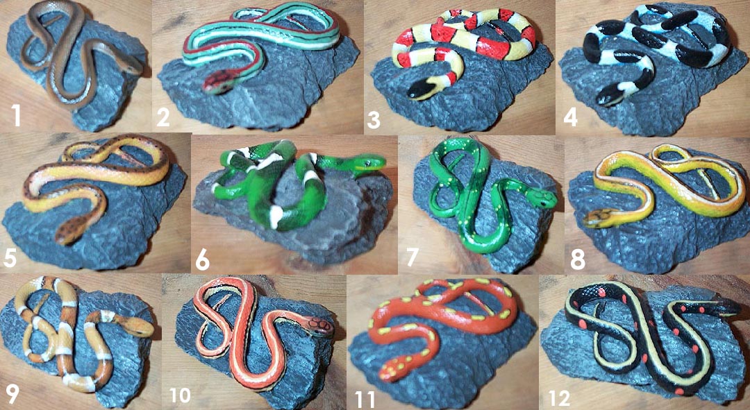 Snake on Rock Minis