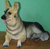 Dog - German Shepherd