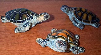 Sea Turtle - Stonelike