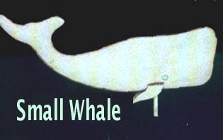 Whale