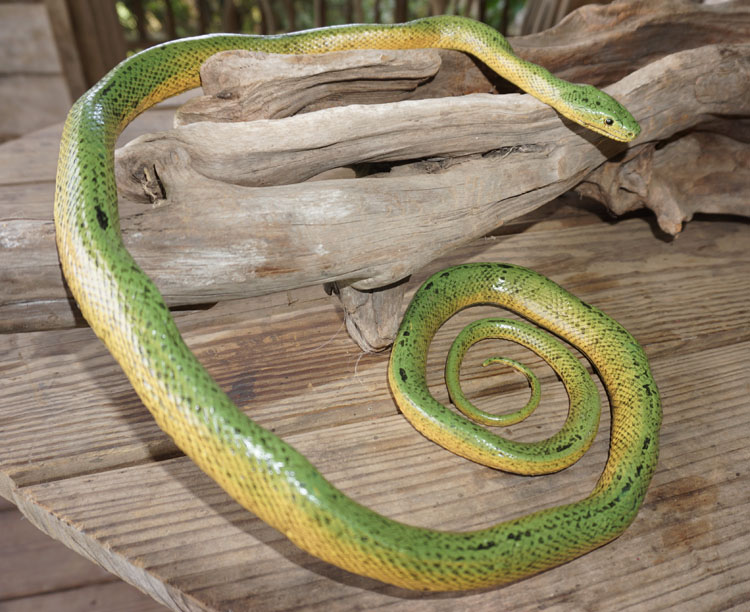 life size rubber snakes