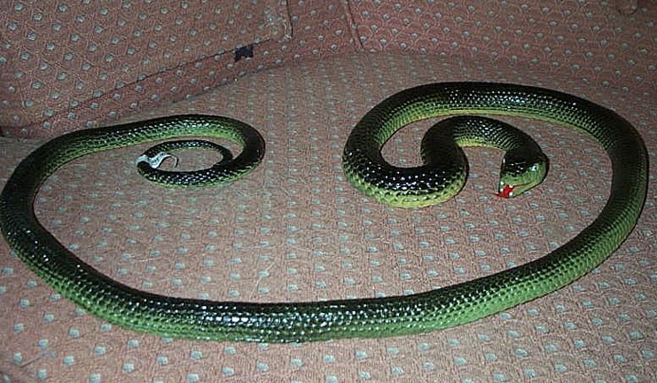 life size rubber snakes